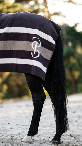 Striped Wool Blanket
