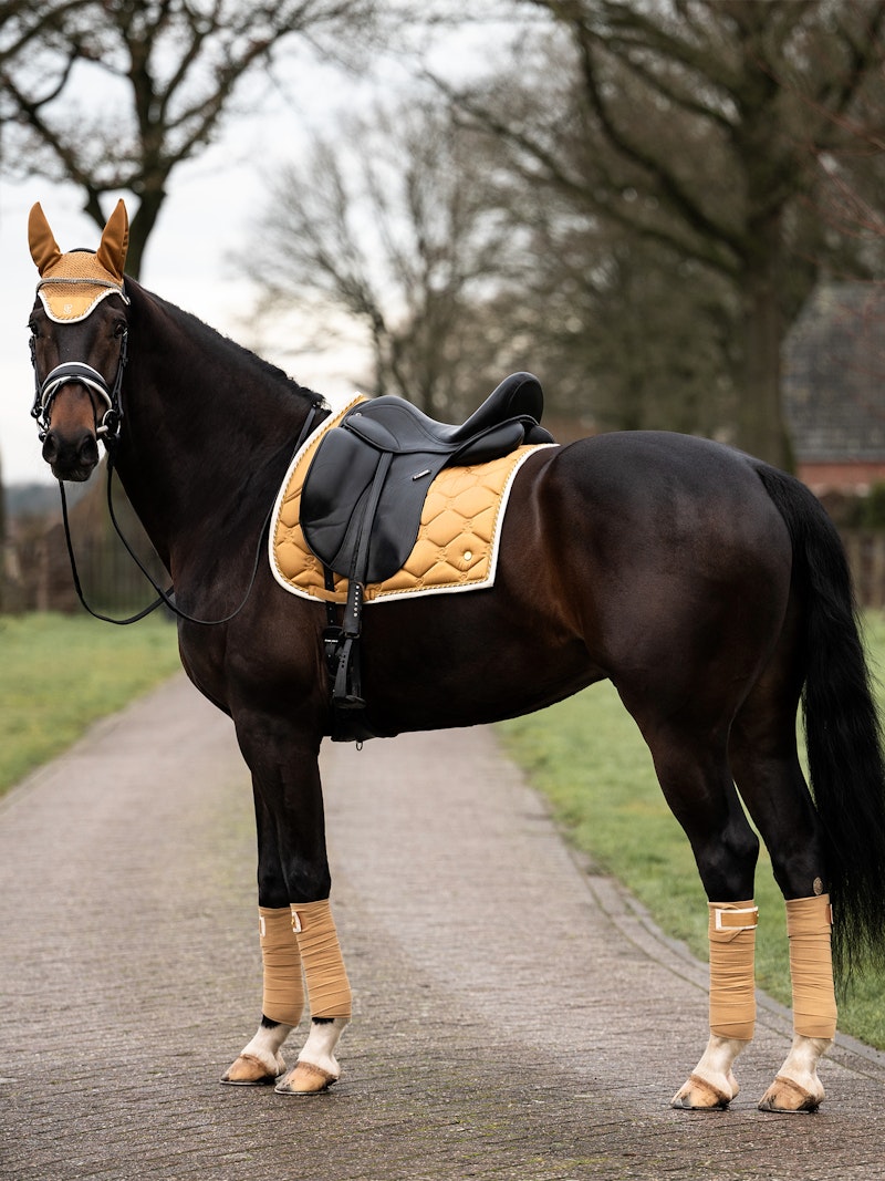 Polos Signature 4-pack Polos Signature 4-pack