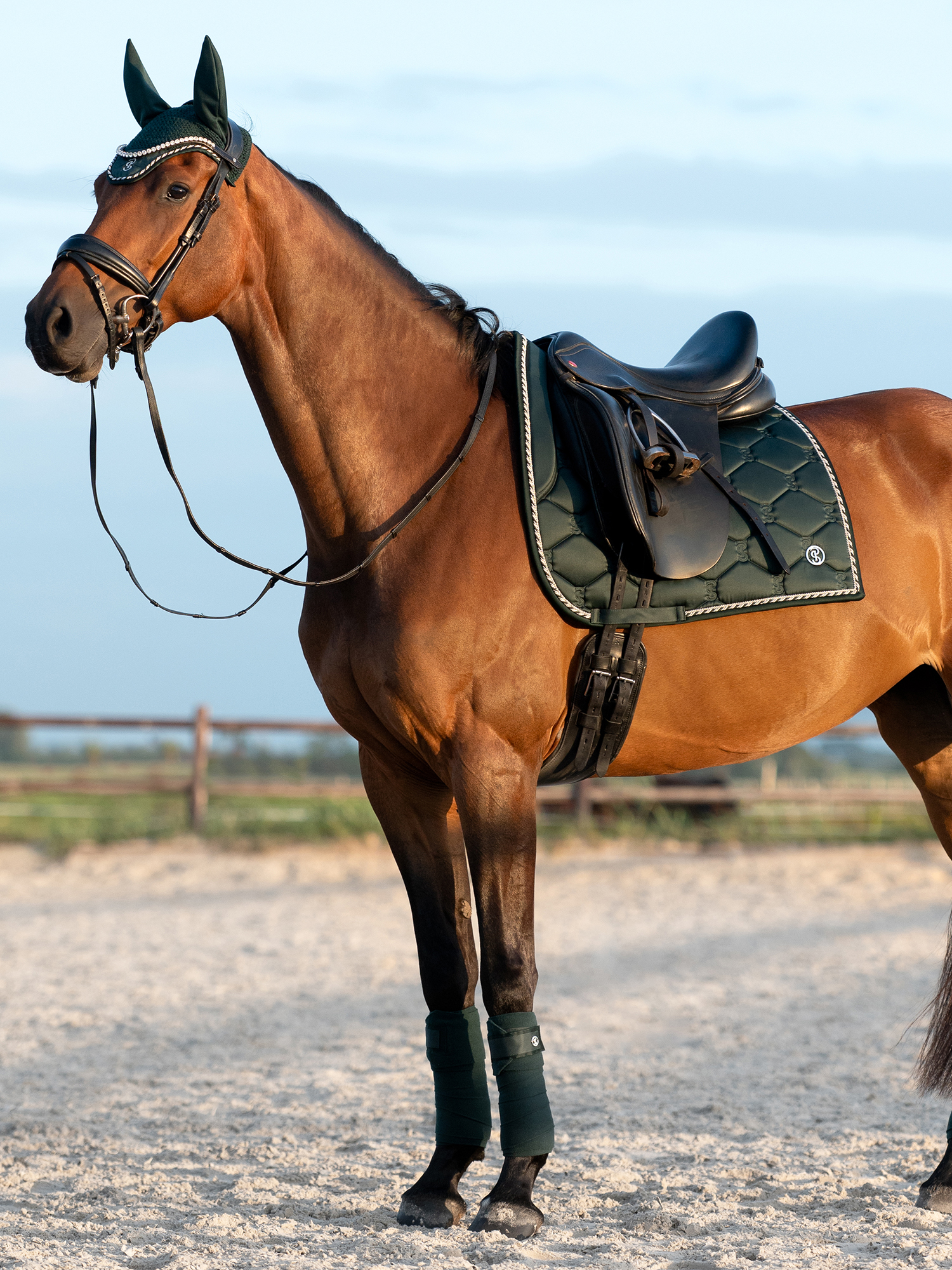 Polos Signature 4-pack