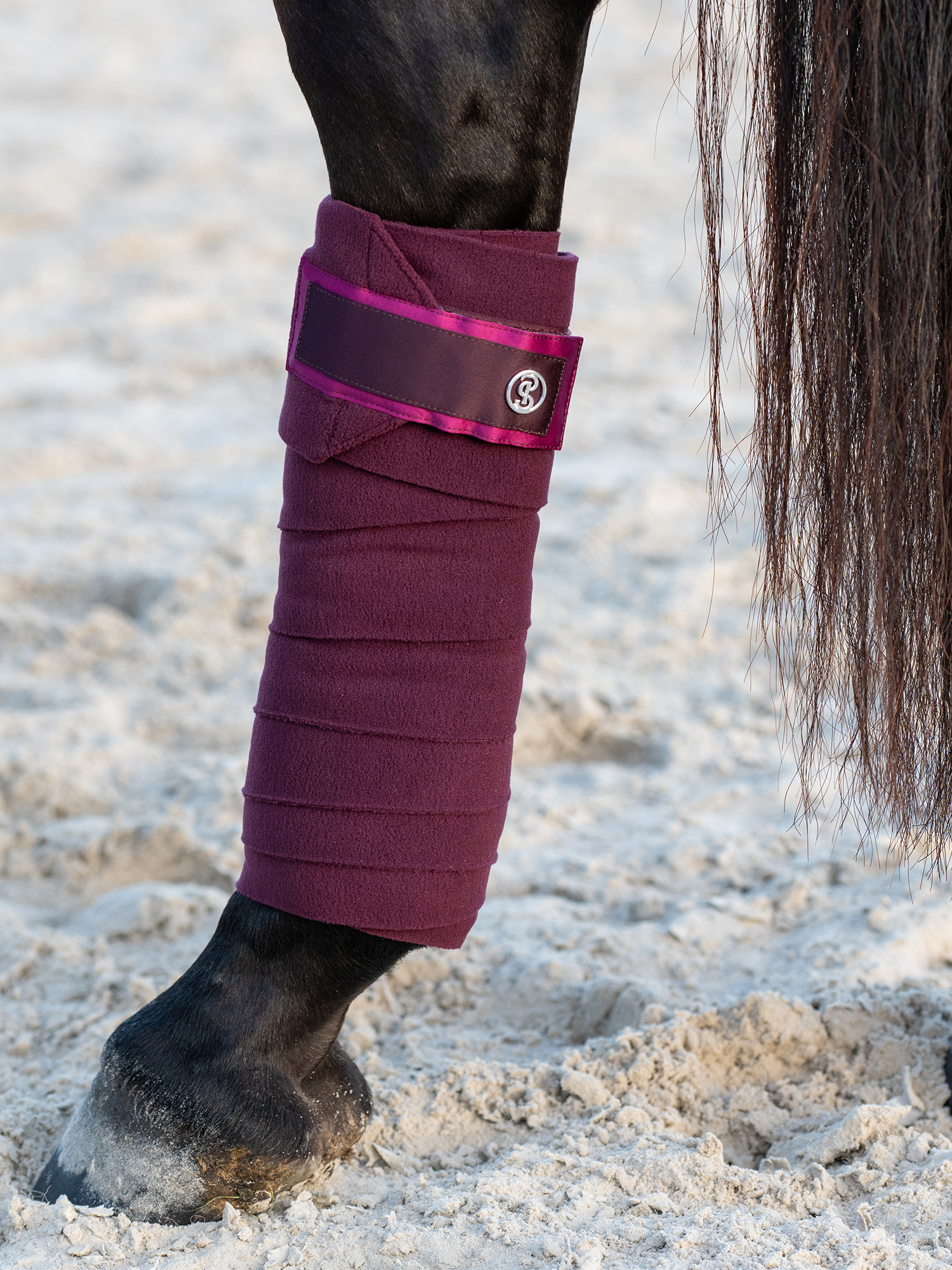 Polos Signature 4-pack