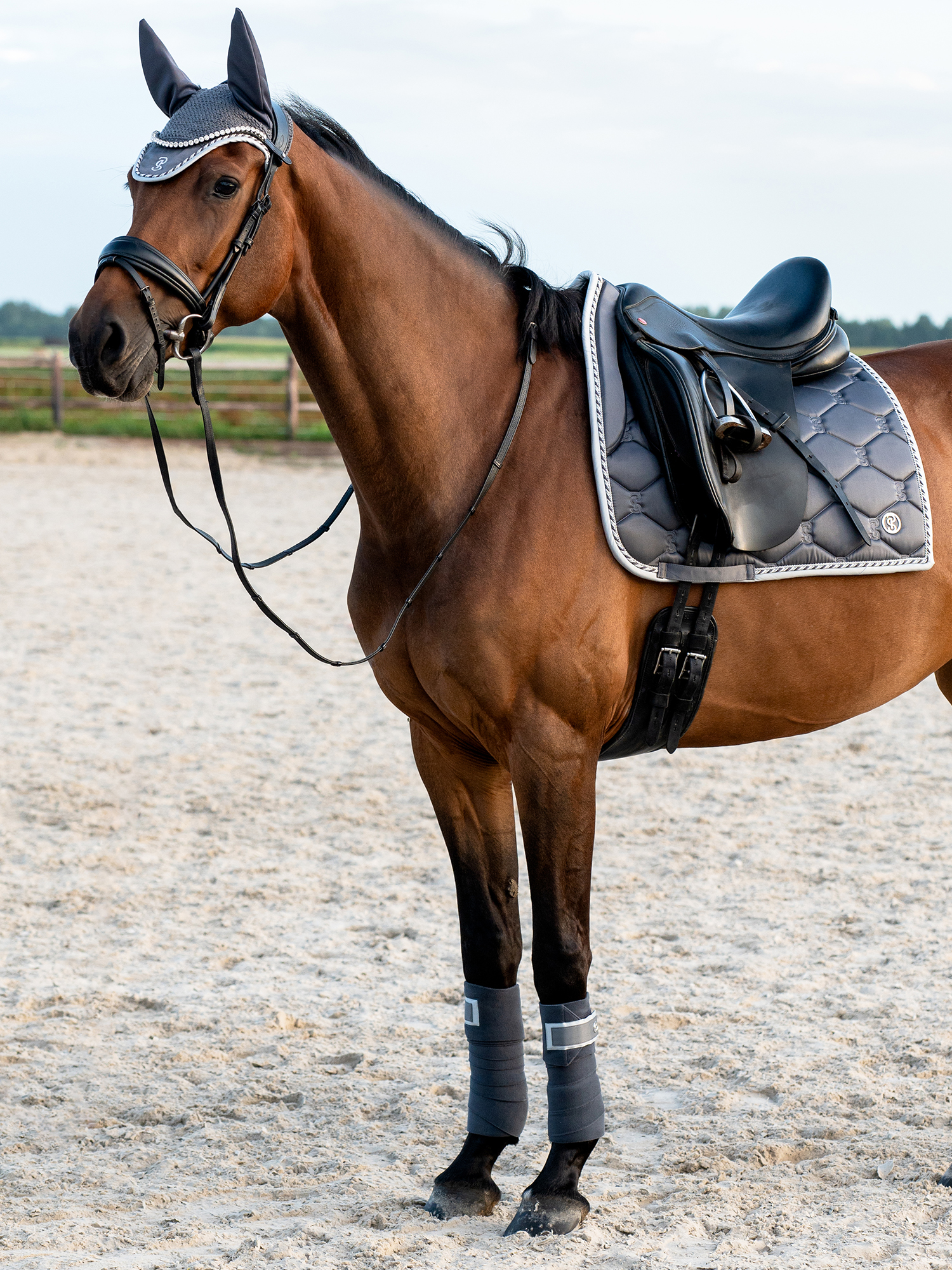 Polos Signature 4-pack