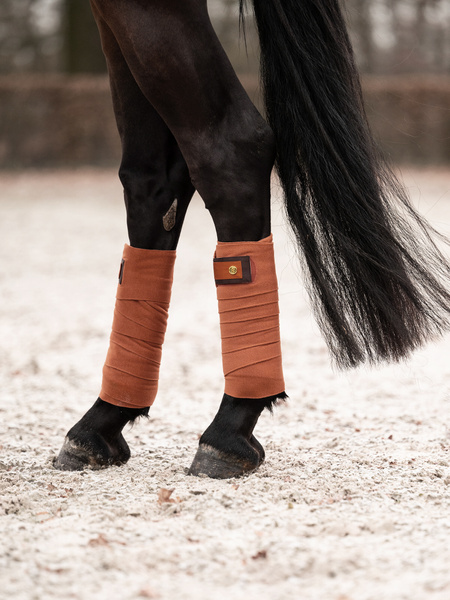 Polos Signature 4-pack
