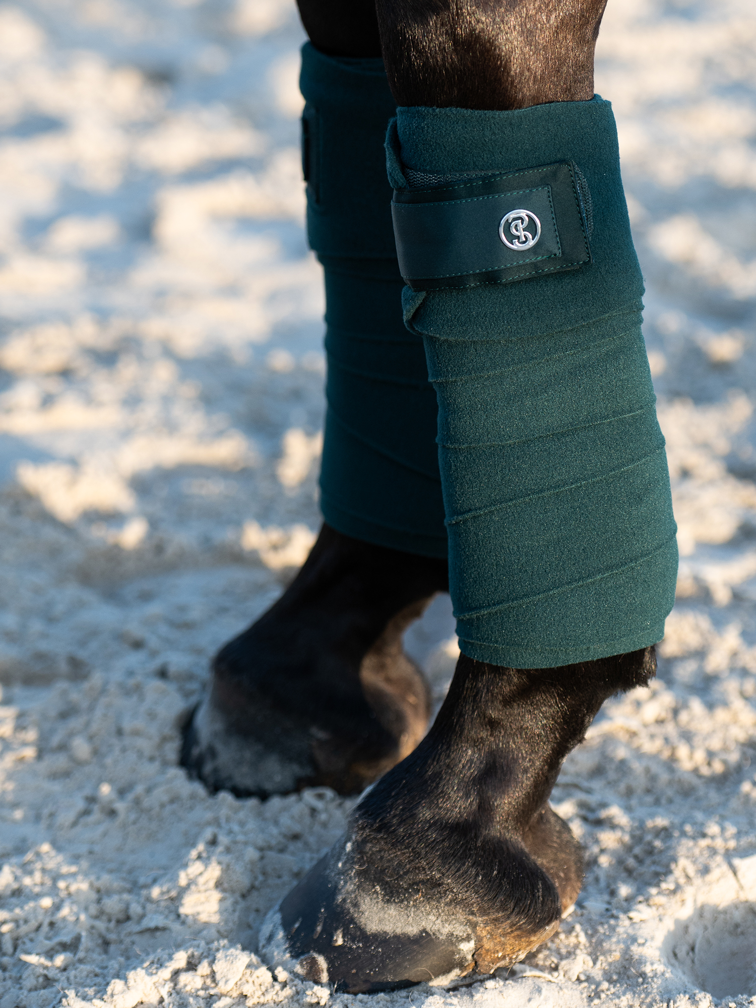 Polos Signature 4-pack