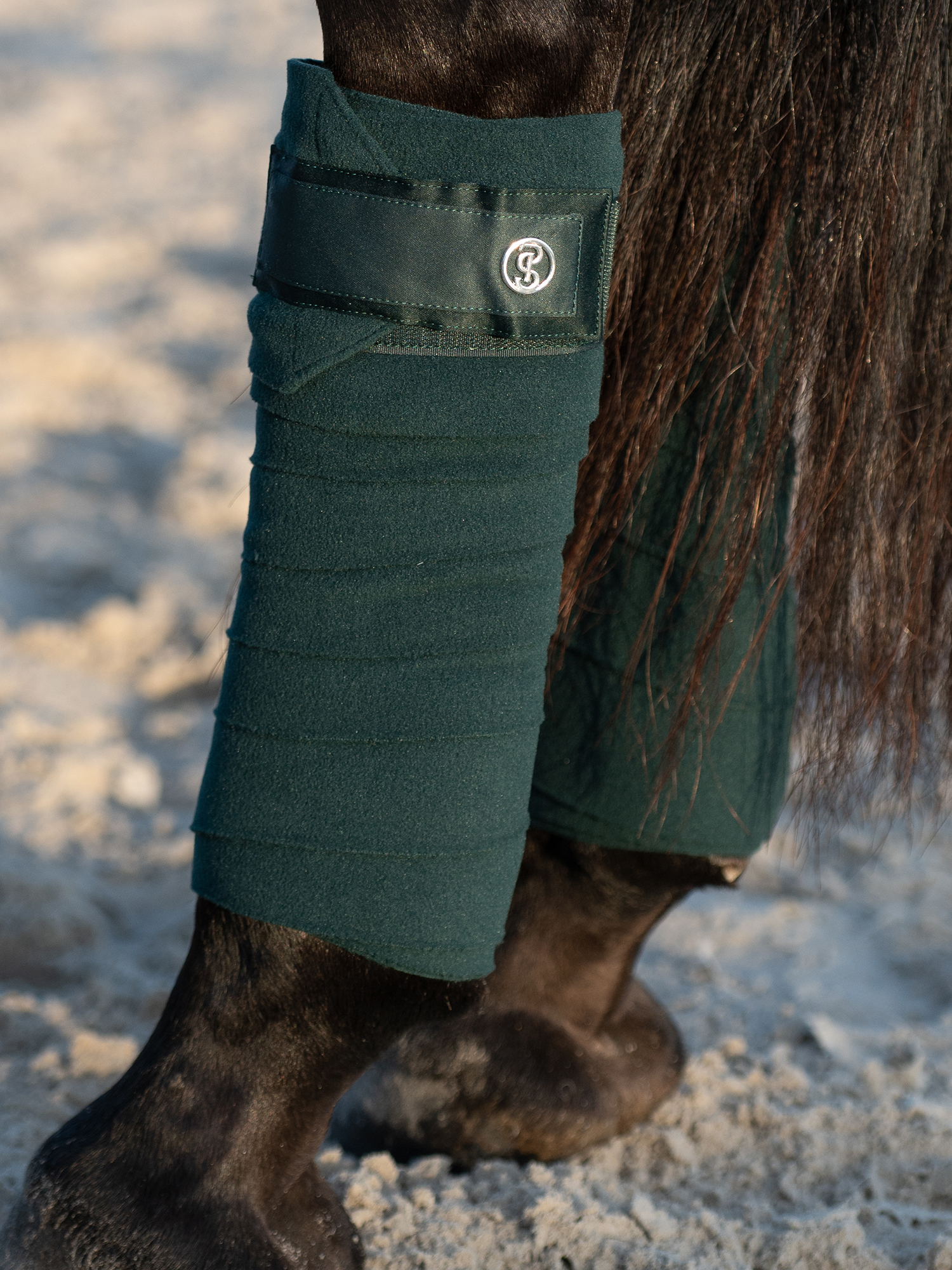 Polos Signature 4-pack