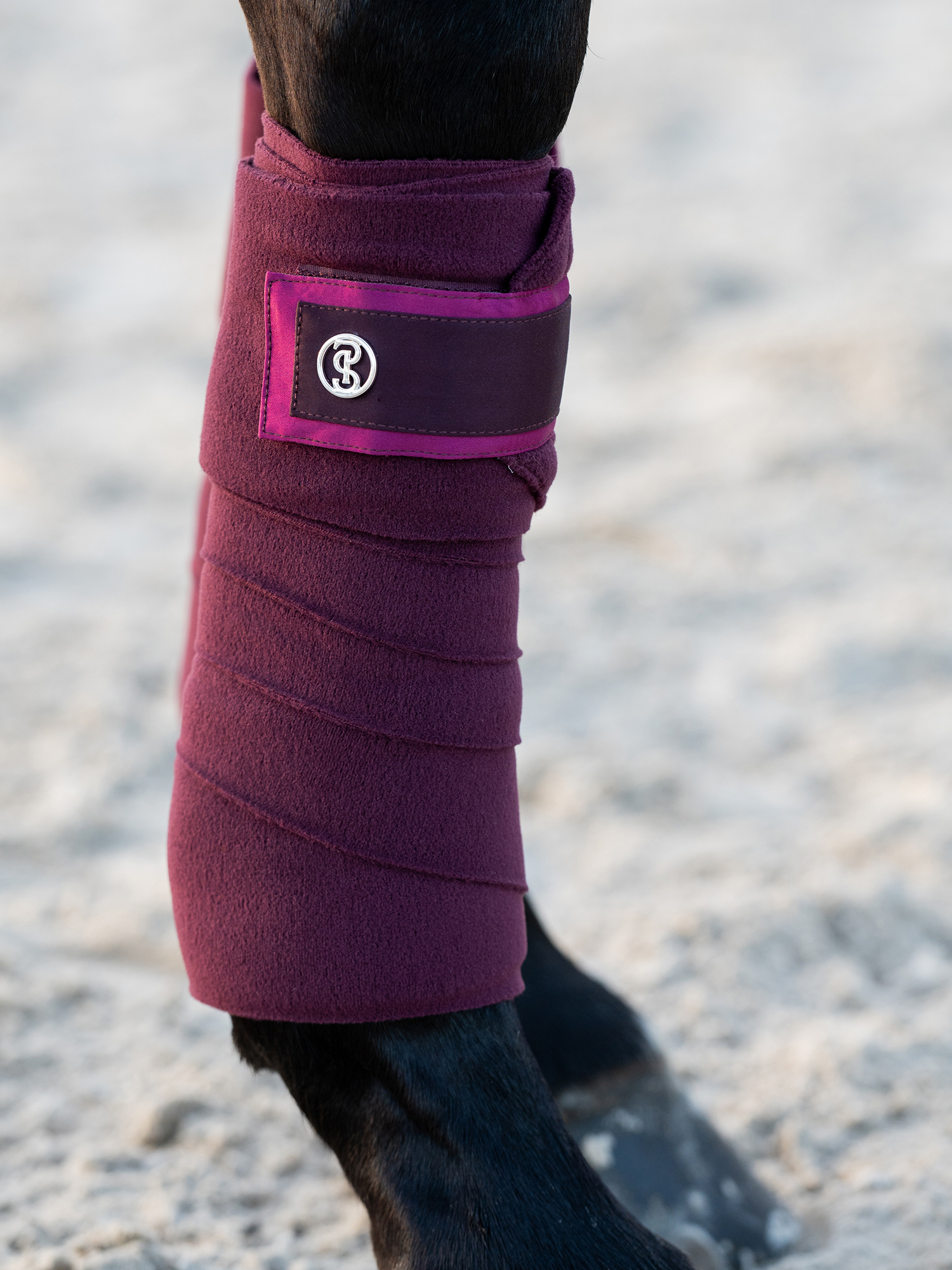 Polos Signature 4-pack