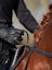 Leather Horse Riding Gloves