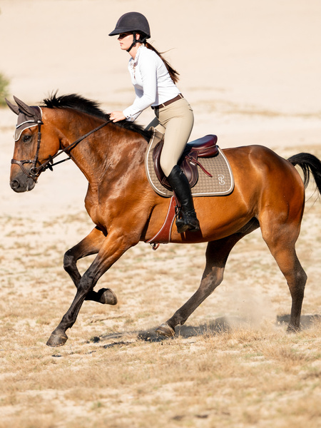 Tessa Half Grip Breeches