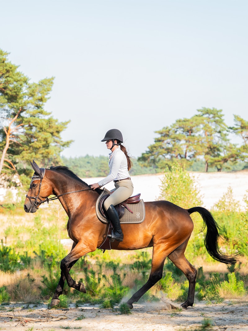 Tessa Half Grip Breeches Tessa Half Grip Breeches