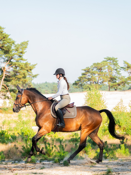 Tessa Half Grip Breeches