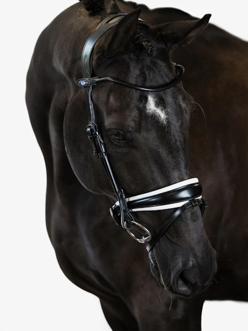 Bridle GP Black Bridle GP Black