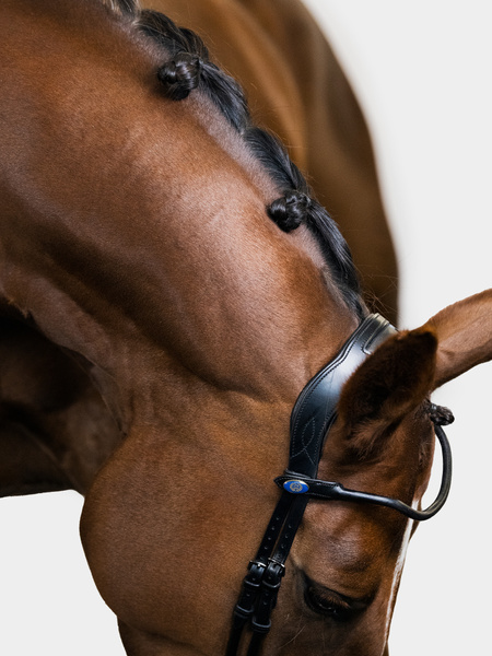 Bridle GP Black