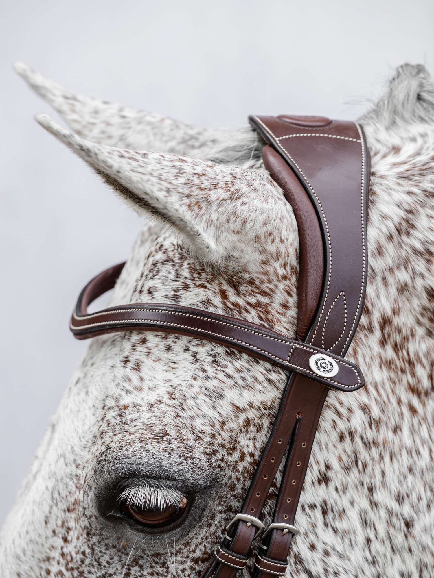 Athens Archive Bridle