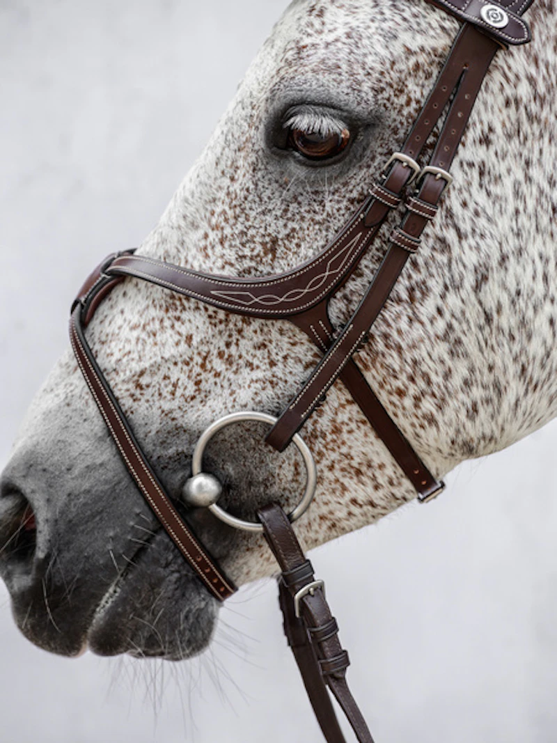 Athens Archive Bridle Athens Archive Bridle