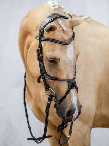 Athens Archive Bridle