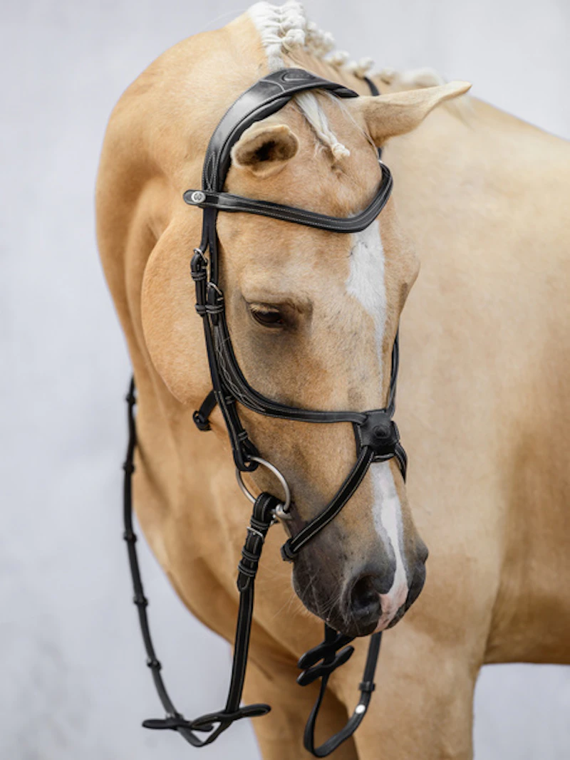 Athens Archive Bridle Athens Archive Bridle