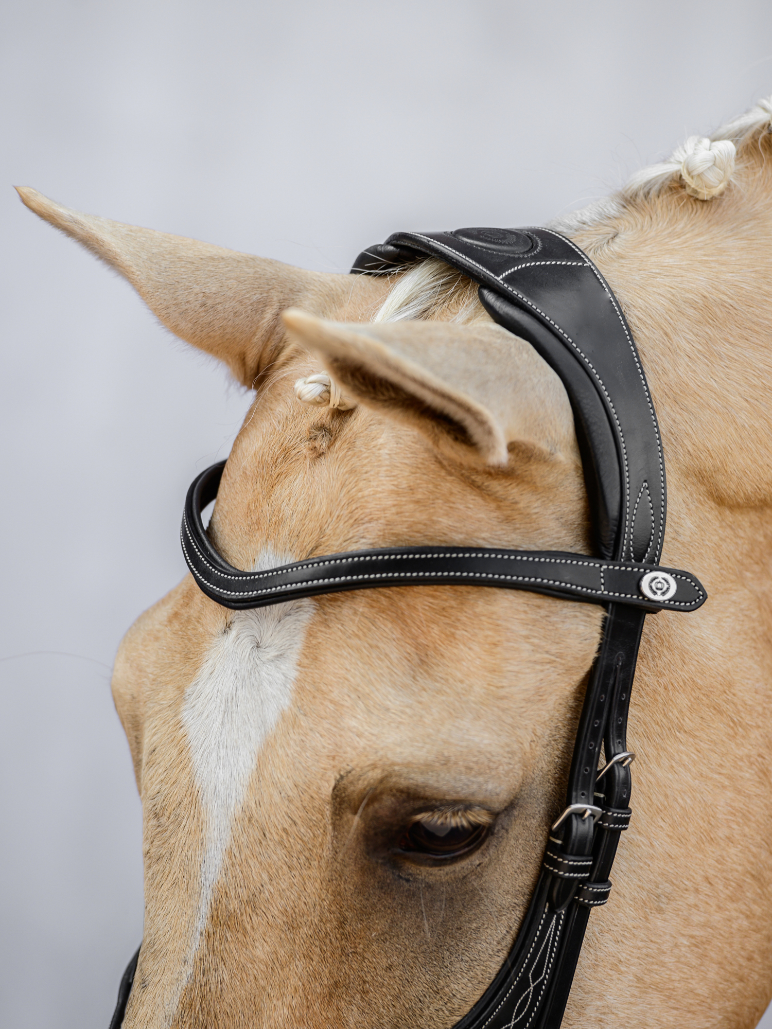 Athens Archive Bridle