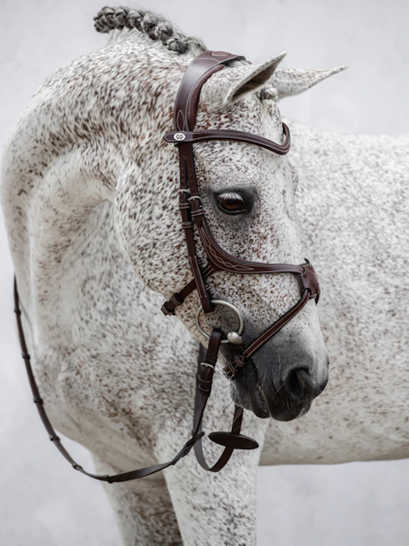 Athens Archive Bridle Athens Archive Bridle