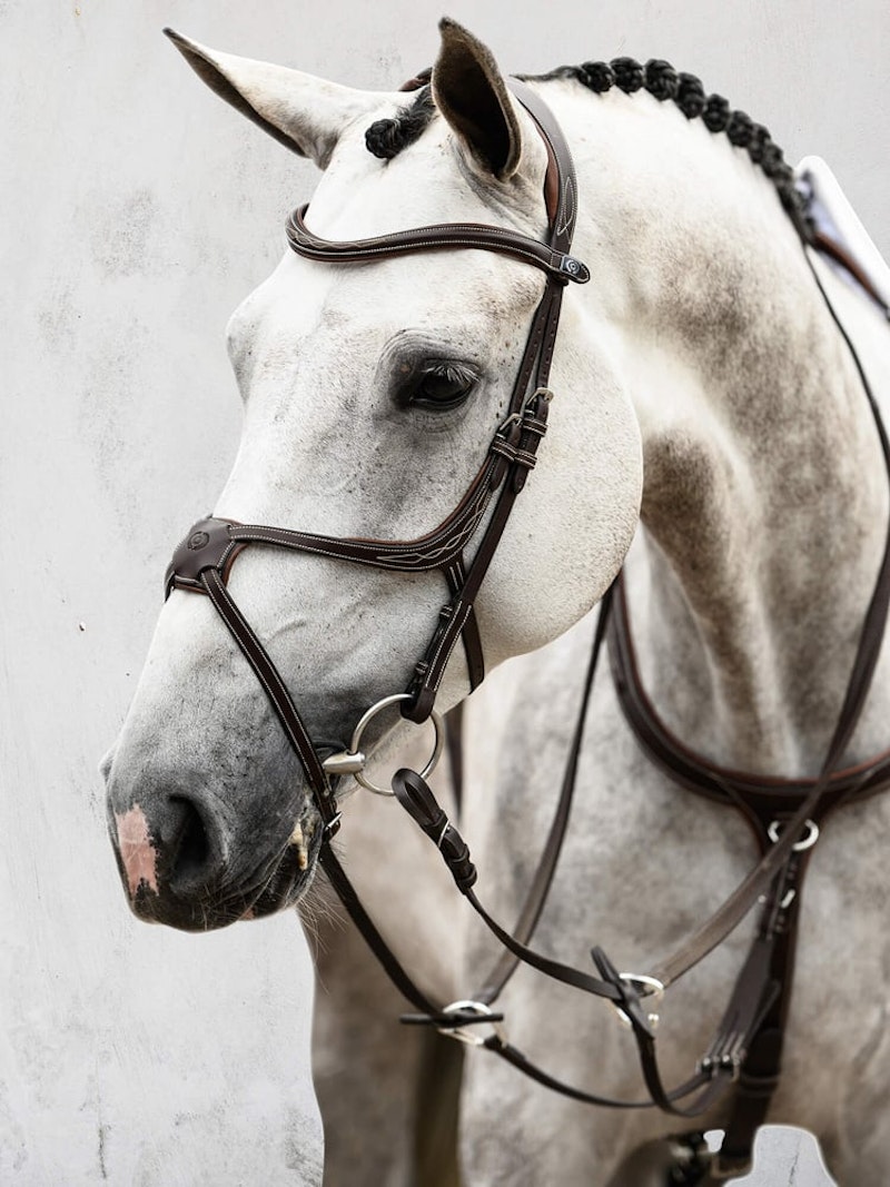 Athens Bridle + Reins Softy / Supergrip