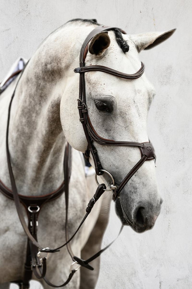 Athens Bridle + Reins Softy / Supergrip