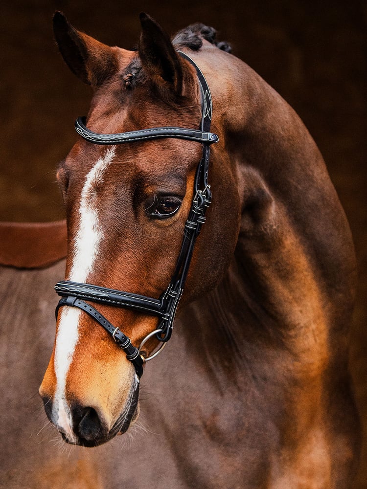 Stockholm Bridle + Reins Softy / Supergrip