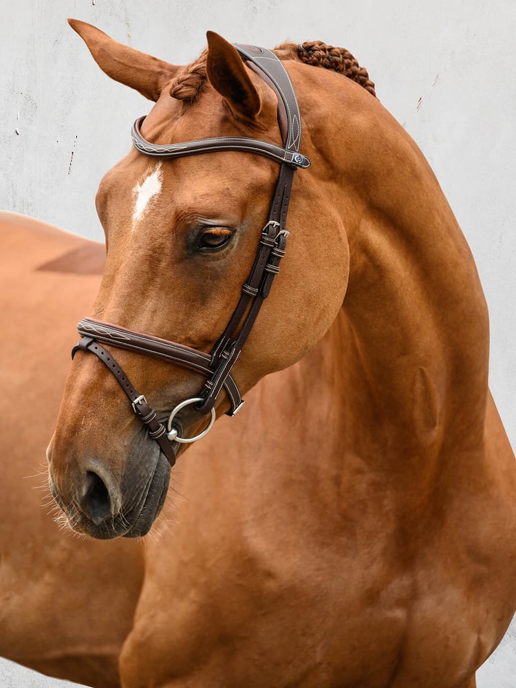 Stockholm Bridle + Reins Softy / Supergrip