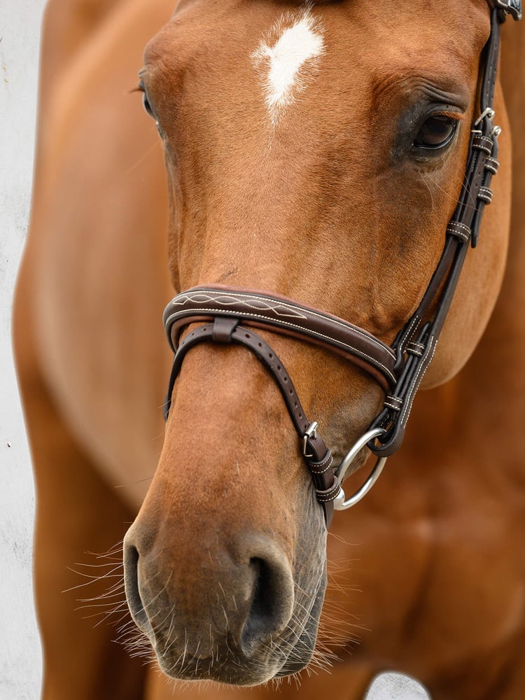 Stockholm Bridle + Reins Softy / Supergrip