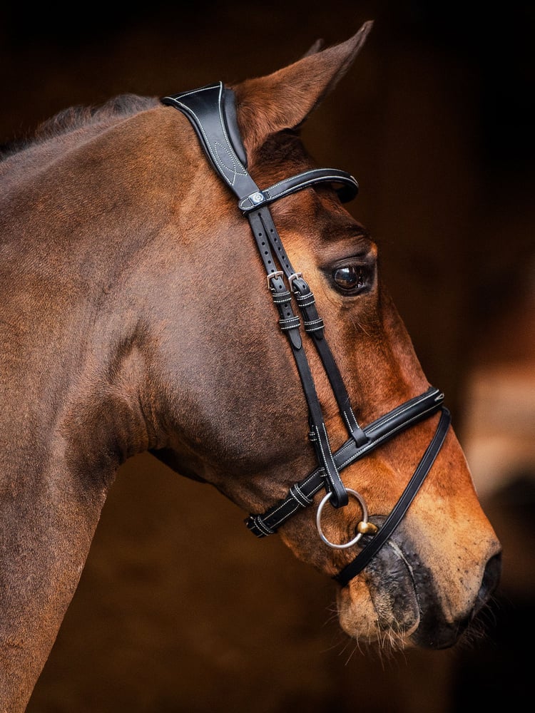 Stockholm Bridle + Reins Softy / Supergrip
