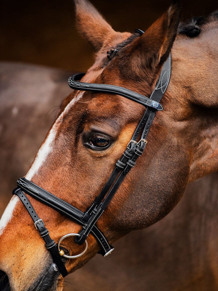 Stockholm Bridle + Reins Softy / Supergrip