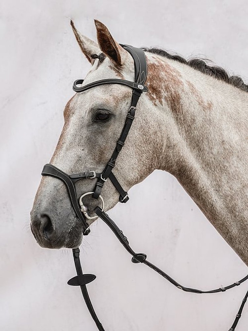 Nirak Bridle + Reins Santa Fe Nirak Bridle + Reins Santa Fe