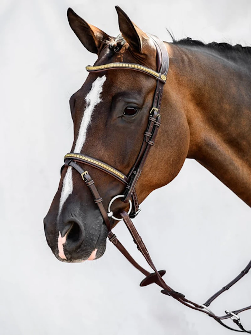 Antwerp Bridle + Reins Santa Fe Antwerp Bridle + Reins Santa Fe